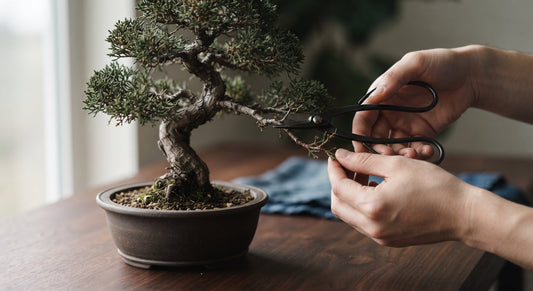 A minimalist, close-up photograph of hands carefully pruning a single branch of a bonsai tree with traditional Japanese shears on a smooth timber workbench.