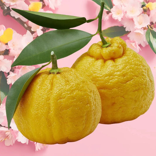 Yuzu: A Multifaceted Gem - Kaito Japan Design 