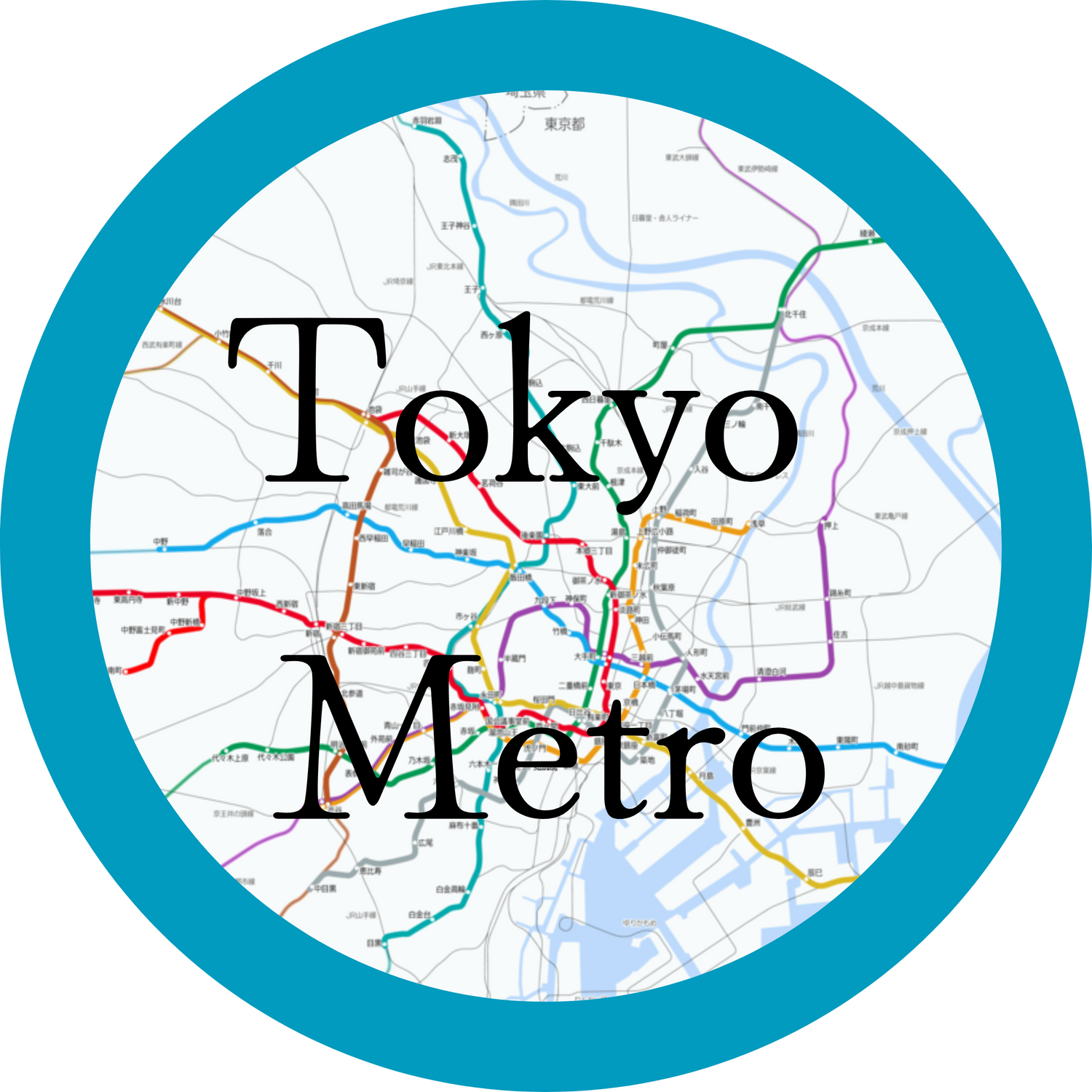 The Tokyo Metro