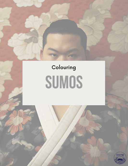 Digital PDF coloring book cover with Japanese Sumo wrestler illustration.