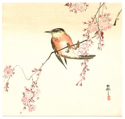A high-resolution digital download of Ohara Koson’s woodblock art featuring a vibrant orange bird perched on a delicate cherry blossom branch against a serene background.