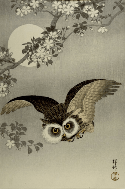 Scops Owl in Flight, Cherry Blossoms and Full Moon By Ohara Koson