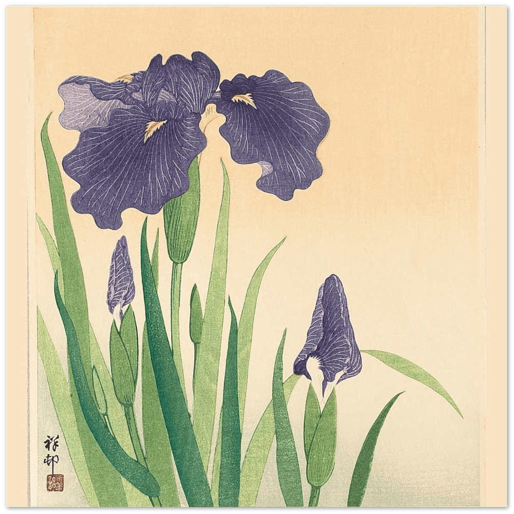 Flowering Iris - Ohara Koson