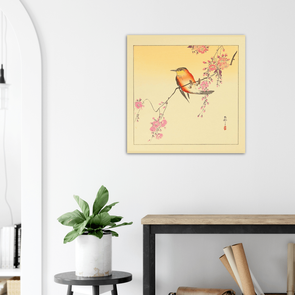Red Bird and Cherry Blossoms - Ohara Koson